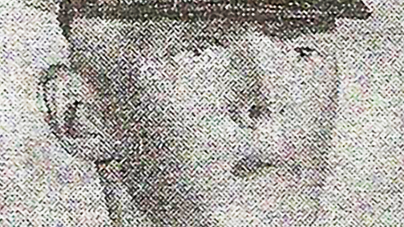 nvvm_stories_PAUL_BAZAR_feature