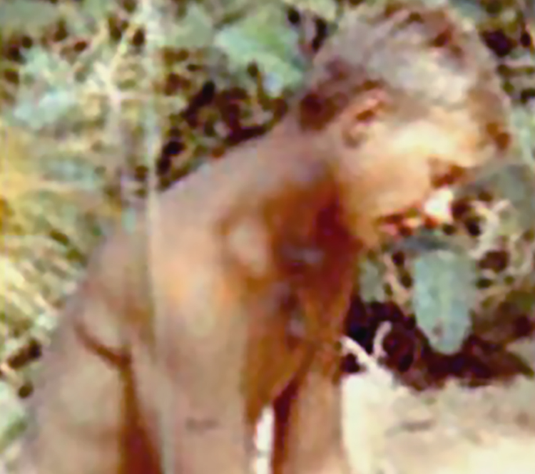 nvvm_stories_MICHAEL_RUHTER_post